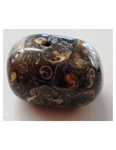 Jaspe aux turitelles pendentif 