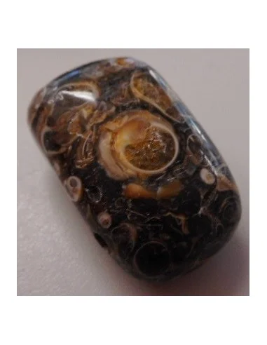 Jaspe aux turitelles pendentif 