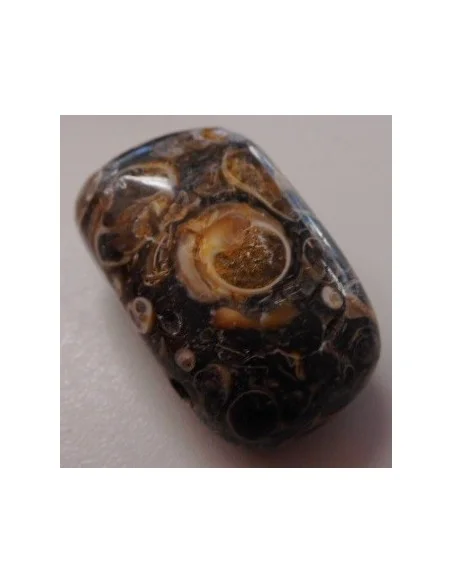 Jaspe aux turitelles pendentif 