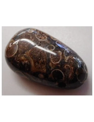 Jaspe aux turitelles pendentif 