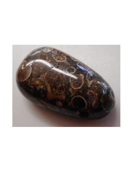 Jaspe aux turitelles pendentif 