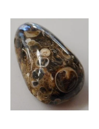 Jaspe aux turitelles pendentif 