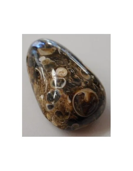 Jaspe aux turitelles pendentif 