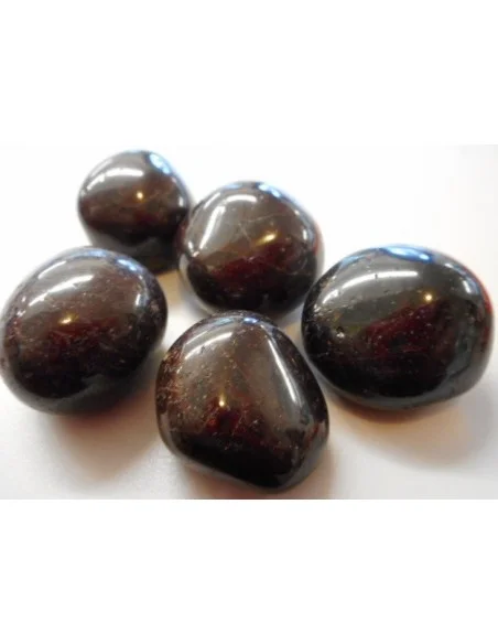 Rhodolite pierre 19-28g Rhodolite pierre 19-28g