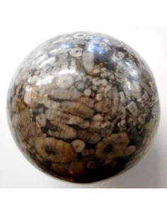 Turitelles sphere