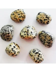 Jaspe dalmatienne polis 2