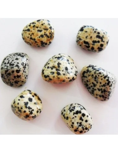 Jaspe dalmatienne polis