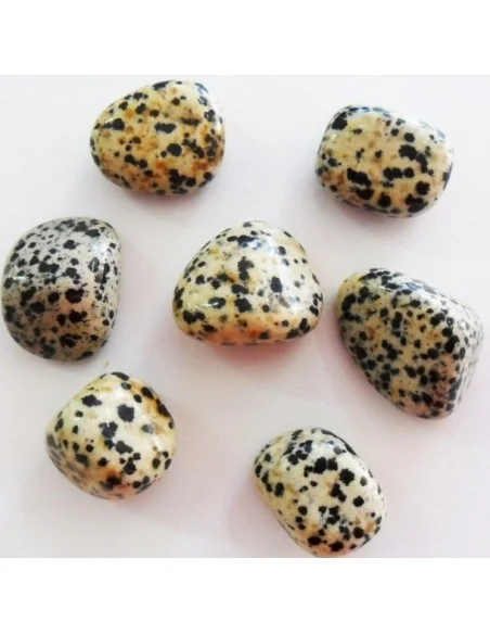 Jaspe dalmatienne polis