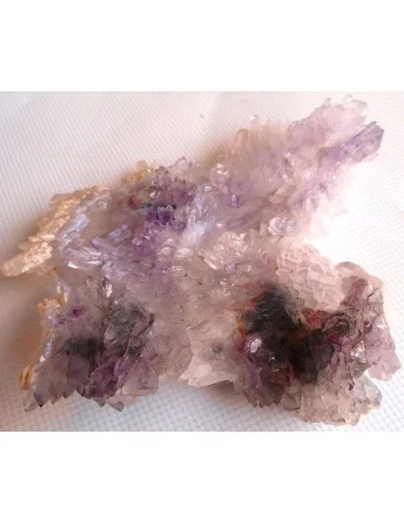 Fleur Amethyste Fleur Amethyste