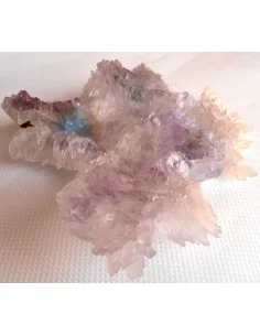 Fleur Amethyste 2
