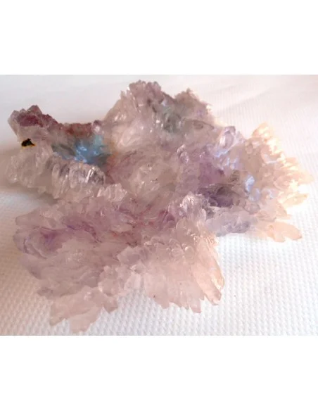 Fleur Amethyste Fleur Amethyste