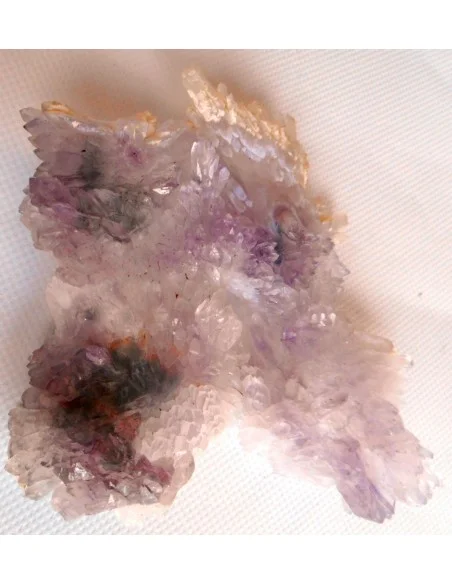 Fleur Amethyste Fleur Amethyste