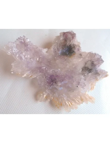 Fleur Amethyste Fleur Amethyste