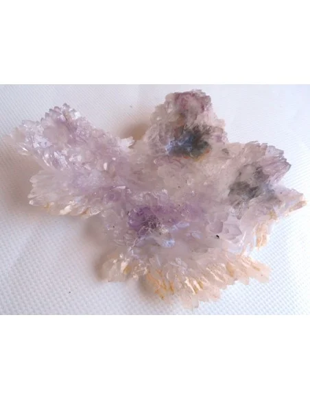 Fleur Amethyste Fleur Amethyste