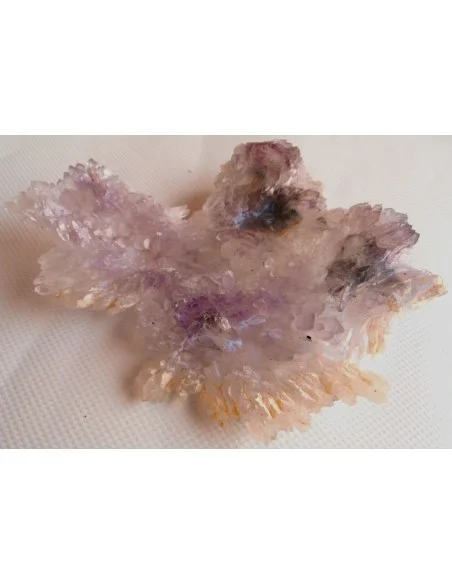 Fleur Amethyste Fleur Amethyste