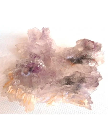 Fleur Amethyste Fleur Amethyste