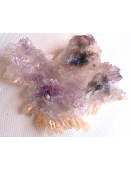 Fleur Amethyste Fleur Amethyste