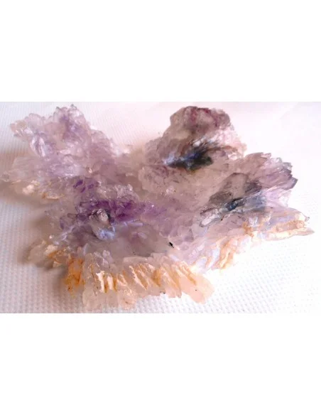 Fleur Amethyste Fleur Amethyste