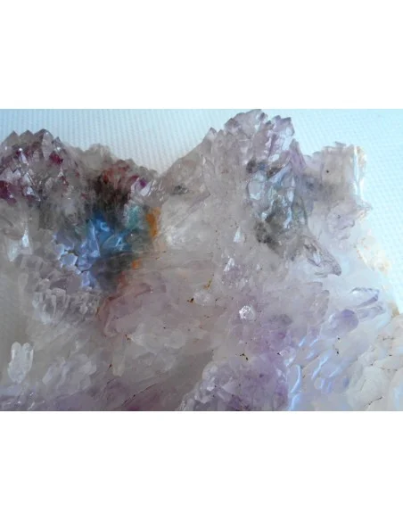 Fleur Amethyste Fleur Amethyste