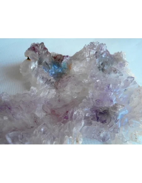 Fleur Amethyste Fleur Amethyste