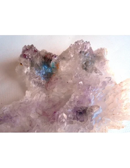 Fleur Amethyste Fleur Amethyste