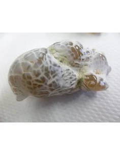 Agate peau de serpent