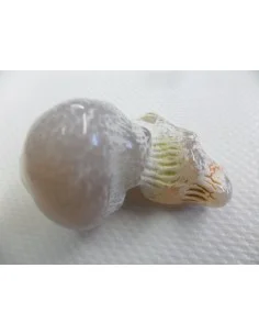 Agate peau de serpent 2