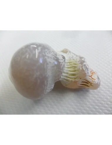 Agate peau de serpent