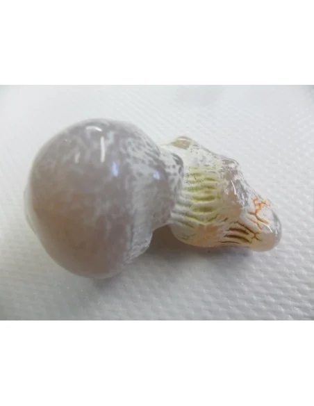 Agate peau de serpent Agate peau de serpent