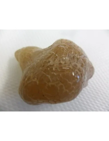 Agate peau de serpent