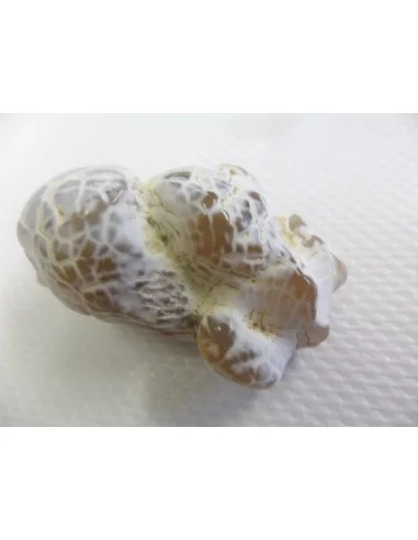 Agate peau de serpent