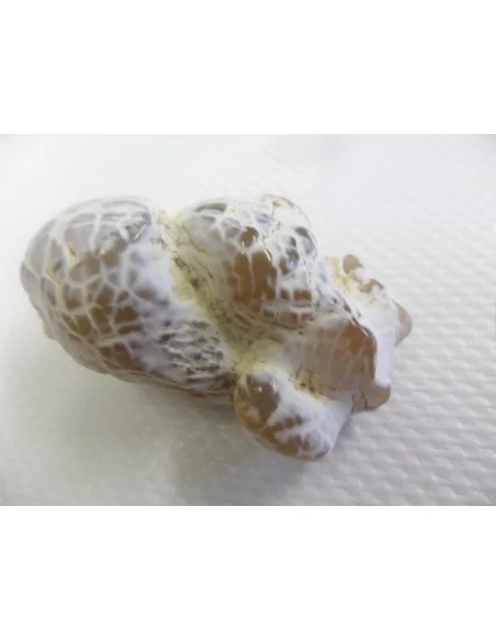 Agate peau de serpent Agate peau de serpent