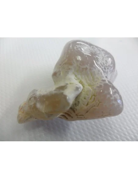 Agate peau de serpent Agate peau de serpent