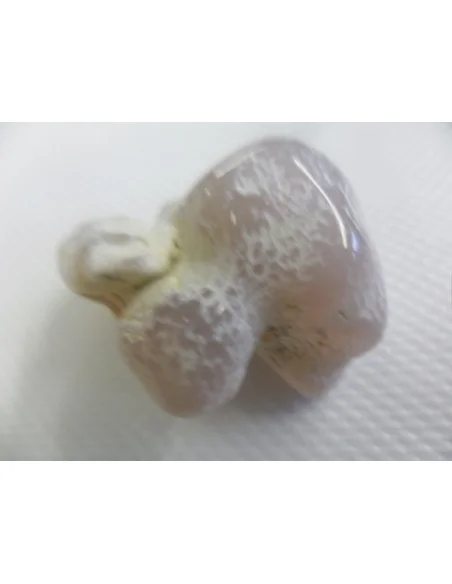 Agate peau de serpent Agate peau de serpent