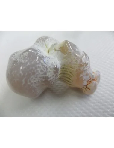 Agate peau de serpent