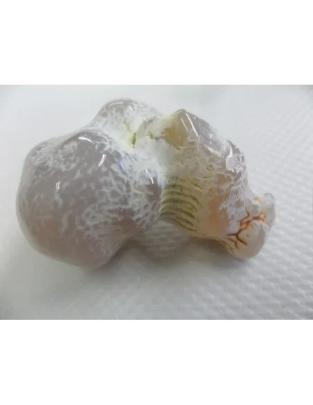 Agate peau de serpent Agate peau de serpent