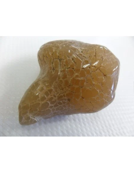 Agate peau de serpent Agate peau de serpent