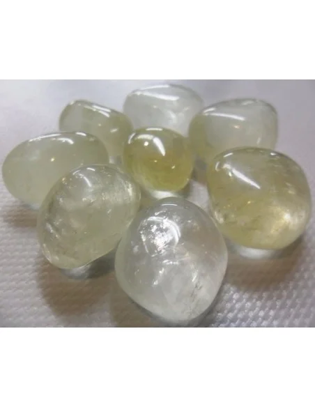 Oligocalctie Oligocalctie