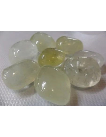 Oligocalctie Oligocalctie