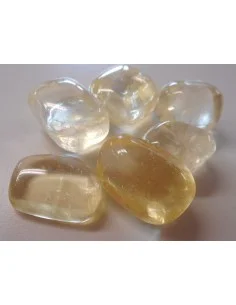 Oligocalcite 2