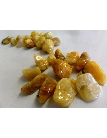 Heliodore pierre polis