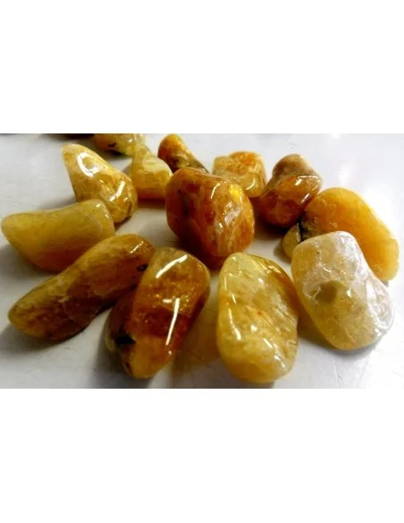 Heliodore pierre polis