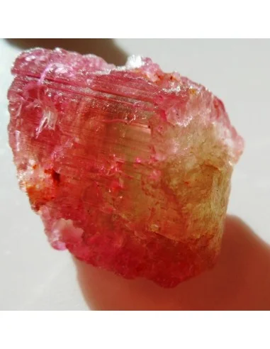 Grande tourmaline melon d'eau pendentif