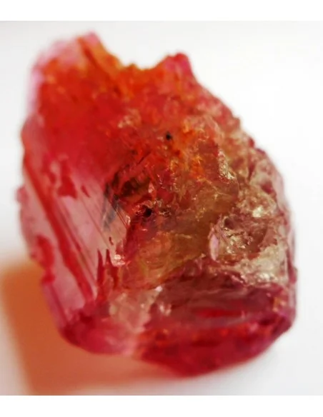 Tourmaline melon d'eau pendentif Tourmaline melon d'eau pendentif