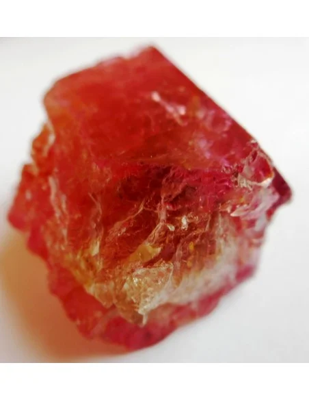 Tourmaline melon d'eau pendentif Tourmaline melon d'eau pendentif