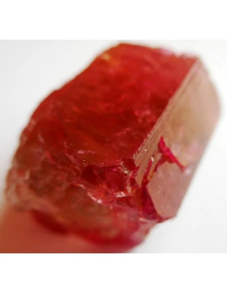Tourmaline melon d'eau pendentif Tourmaline melon d'eau pendentif