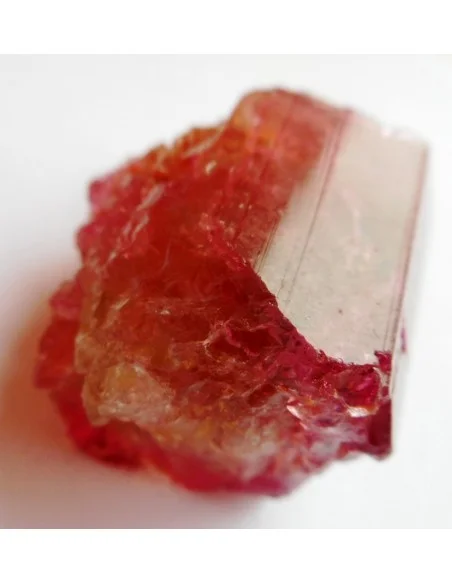 Tourmaline melon d'eau pendentif Tourmaline melon d'eau pendentif
