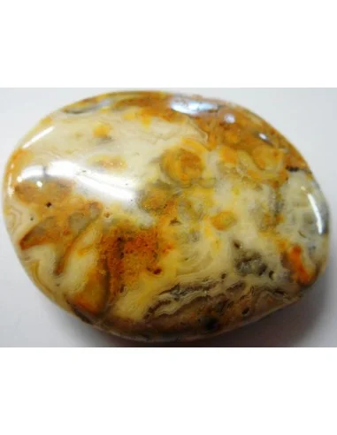 Galet agate crazy lace orange