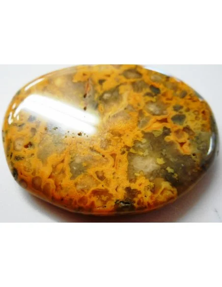 Galet agate crazy lace orange Galet agate crazy lace orange