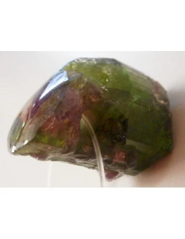 Tourmaline melon d'eau brute pendentif